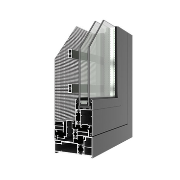 100 Series Windows